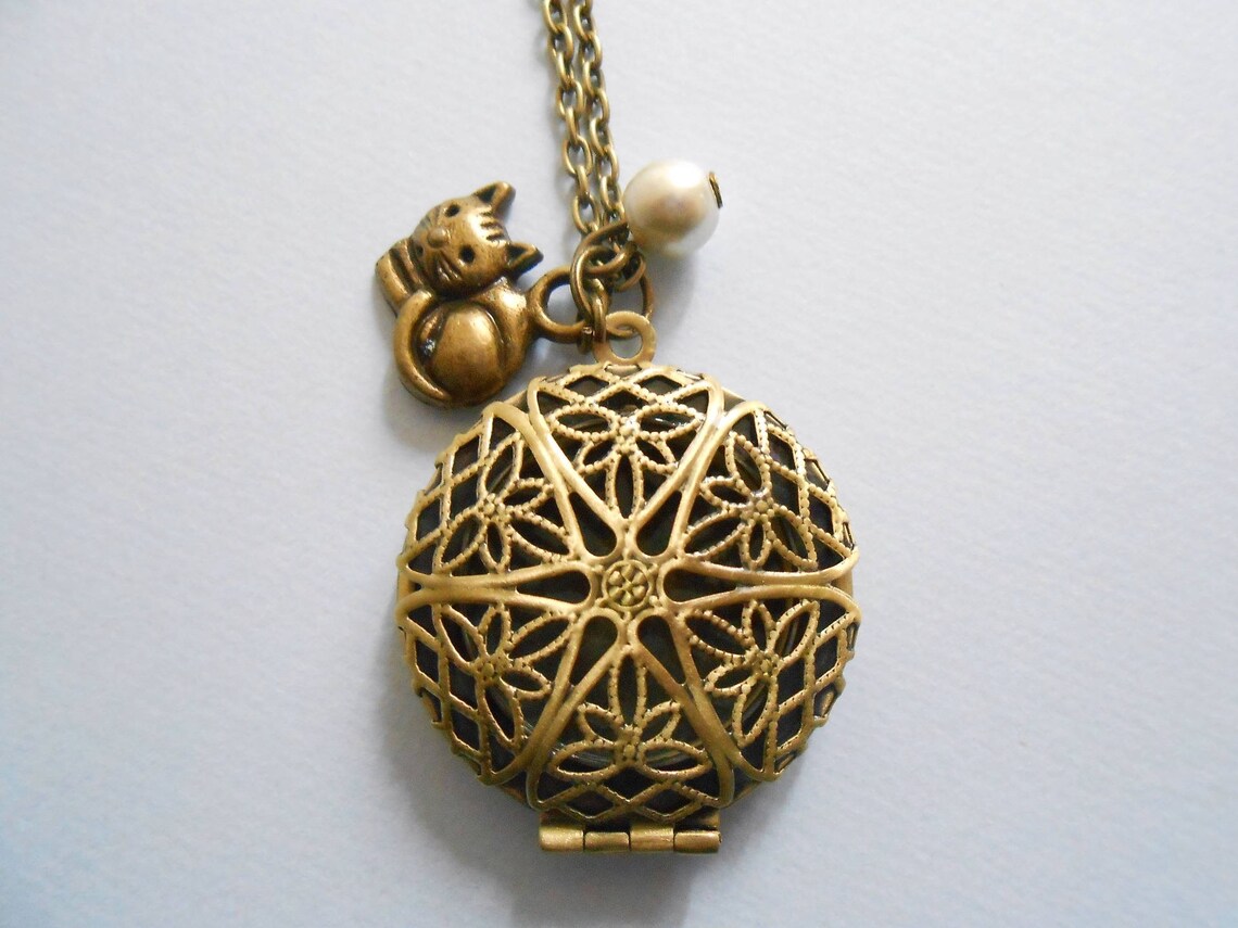 Collier Médaillon Photo Ouvert - Pendentif à Ouvrir Pour Y Glisser Une Photo, Neuf Avec étiquettes