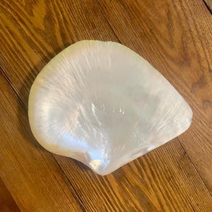 8.75” Mother of pearl footed caviar serving dish plate sea shell trinket jewelry display iridescent decorative tray