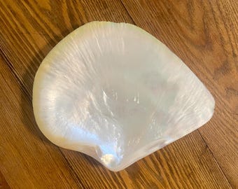 Vintage Mother of Pearl Caviar Dish: Iridescent Sea Shell Trinket Tray