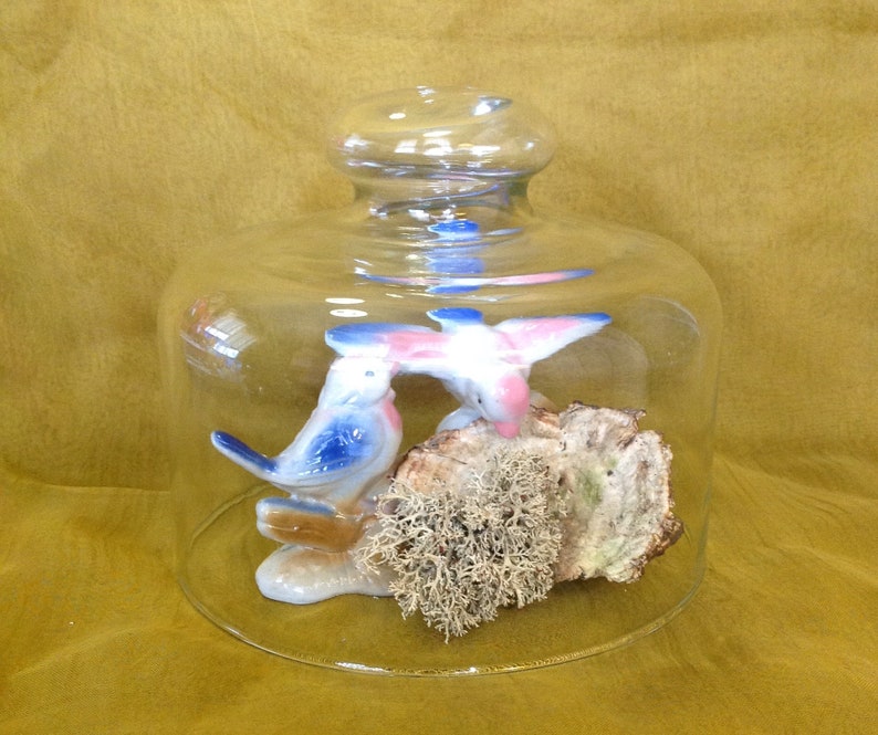 Vintage French Glass Cloche or Dome Hand Blown Garden Patio Bell Jar NICE!