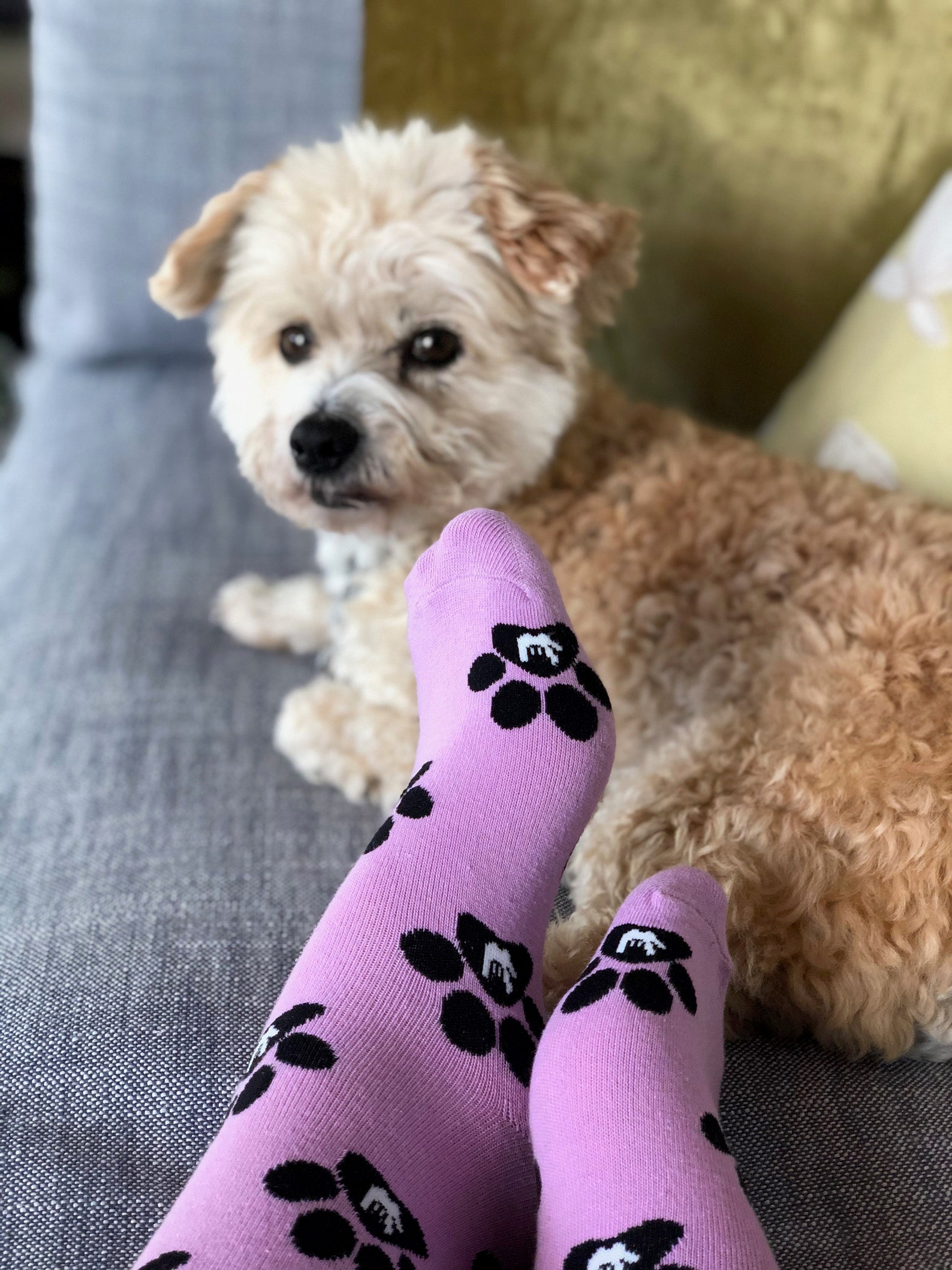 ASL Socks I Love Dog Socks Dog Socks Sign Language Socks Etsy