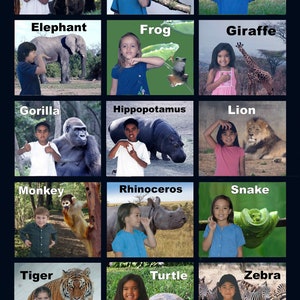 May include: A colorful chart with pictures of animals and children signing the name of each animal. The chart is titled "Zoo Animal Signs" and has the website "sayitinsign.com" at the bottom.