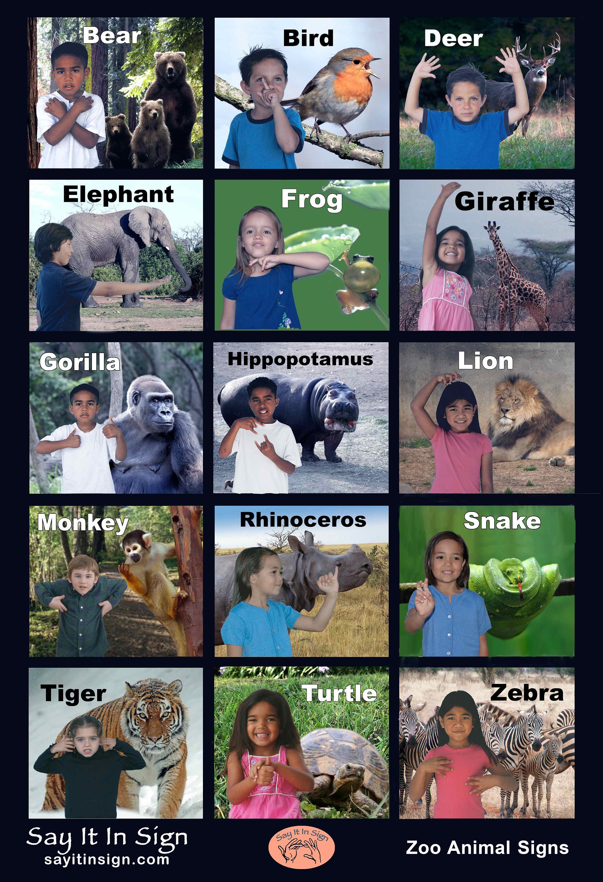 Zoo Animal Signs ASL Lenticular Poster, Zoo Poster, Animal Sign