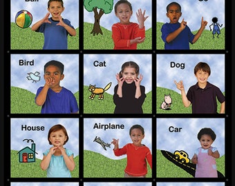ASL Lenticular Poster: Early Sign Language Learning