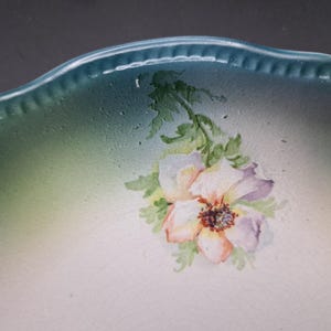 Steingut-Fabrik und Kunsttöpferei F.A. Mehlem Porcelain Plate, Poppies and Beaded Green Rim (c. 1880-1920 Germany) image 5