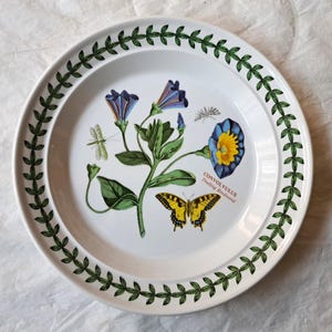 Portmeirion Botanic Garden CONVOLVULUS BINDKRAUT 19 cm Brot & Butter Teller (1990er Jahre)