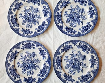 4 piatti piani Johnson Brothers "Asiatic Pheasant" blu da 25 cm, con decorazione floreale e bordo smerlato.