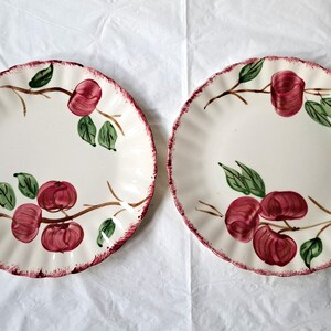 May include: Two white ceramic plates with a red and green apple design. The plates have a scalloped edge with a red trim. The apple design features red apples, green leaves, and brown branches.