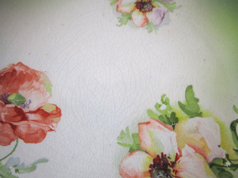 May include: A vintage ceramic plate with a white background and a floral pattern. The plate features a large pink and white flower with green leaves, and a smaller red and pink flower with green leaves.