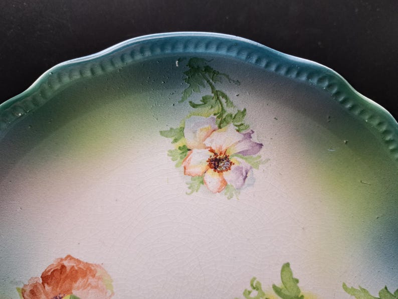 Steingut-Fabrik und Kunsttöpferei F.A. Mehlem Porcelain Plate, Poppies and Beaded Green Rim (c. 1880-1920 Germany) image 4