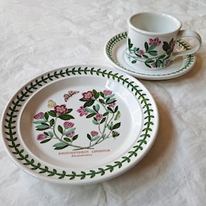 Portmeirion Botanic Garden RHODODENDRON 18,6 cm Brot- und Butterteller, flache 2-5 / 8-Zoll-Trommeltasse, Untertasse (c 1980er-90er Jahre)