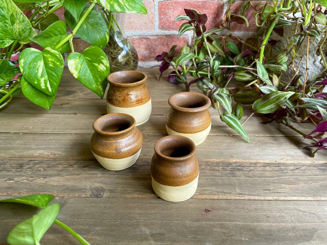 Mexican Inspired Jarritos Ceramic Shot Glasses Ceramic Barware Etsy