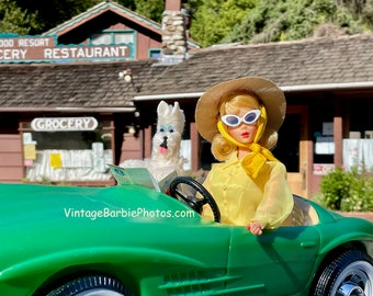Vintage Barbie Road Trip
