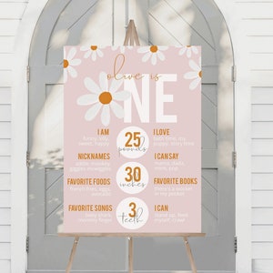 Retro Daisy First Birthday Milestone Stats | Pink Girl 1st Birthday Party Milestone Charts 18x24 | Printable Instant Download