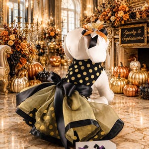 gold dog dress for Shirt Princess dresses