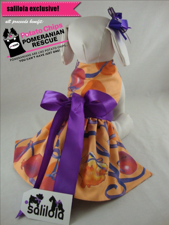 potato chips pomeranian rescue