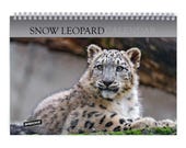 Snow Leopard 2026 Wall Calendar 