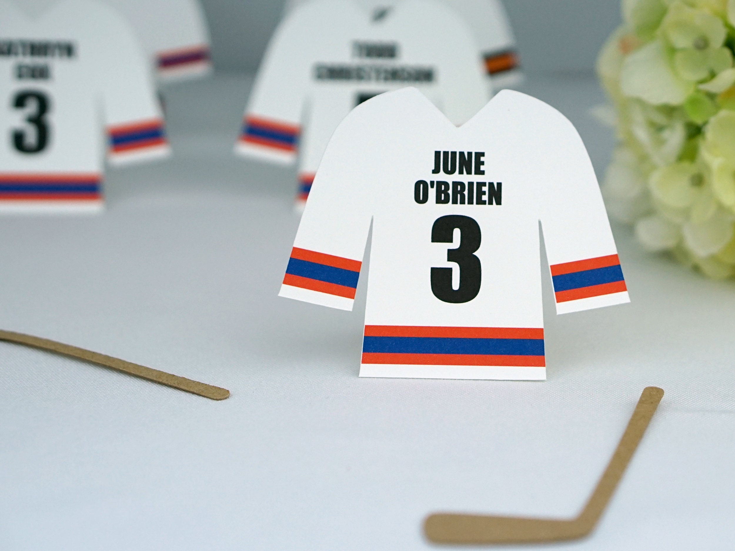 Hockey Jersey Place Name Cards