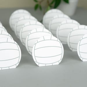 Handsignierte Volley Ball Tischkarten 24 Stück Lebensmittel Etikett Tags Party Decor