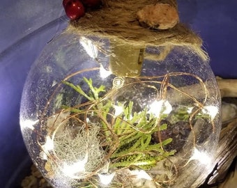 Bolas de hadas/brujas con temática de la naturaleza