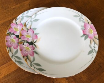 Vintage Noritake “azalea” - Set of Two Salad Plates, Tea Party