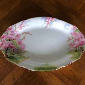 Royal Albert Blossom Time - Etsy