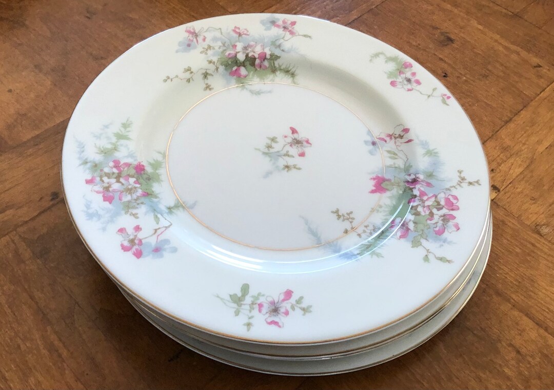Theodore Haviland New York apple Blossom Set of Four Salad Plates Etsy