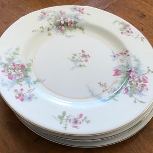 Vintage Theodore Haviland New York &quot;Apple Blossom&quot; - Set of Four Salad Plates