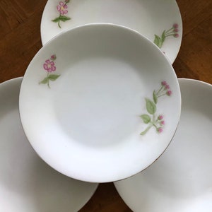Vintage Vignaud - Set of Four Luncheon Plates, Pink Floral and Green Leaves, French Limoges