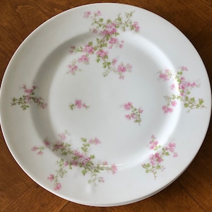 Antique Haviland Limoges France - Set of Two Dinner Plates, Schleiger 29a Pattern, Smooth Shape With Pink and White Flowers