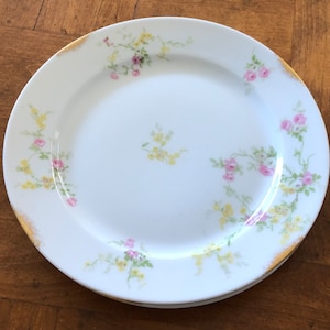 Vintage Old Abbey French Limoges - Set of Two Salad Plates