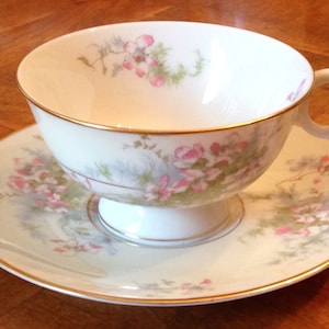 Vintage Theodore Haviland New York &quot;Apple Blossom&quot; Footed Cup and Saucer Set