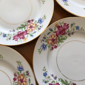 Vintage Eschenbach Baronet Bavarian China &quot;Lorna&quot; Pattern Floral China  - Set of Four Bread Plates, Dessert Plates, Wedding Cake Plates
