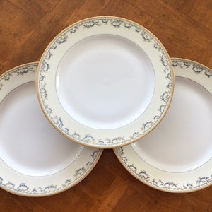 Antique Haviland (Theodore) Pattern H2314 - Set of Three Dinner Plates