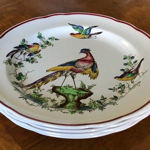 May include: A stack of white ceramic plates with a scalloped edge and a maroon rim. Each plate features a colorful bird design with green foliage. The birds are in shades of yellow, blue, red, and green.