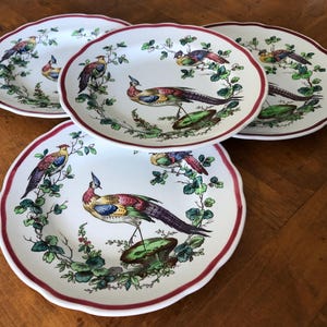 May include: Set of four white ceramic plates with a scalloped edge and a burgundy rim. Each plate features a colorful bird design with green foliage. The birds have blue, yellow, red, and purple feathers.