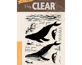Hero Arts Poly Clear Stamp Set Color Layering Blue Whale