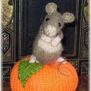 Knitting pattern pumpkin, Debi Birkin Patterns, PDF digital download, knitting pattern, cotton rabbits, mouse knitting pattern, pincushion