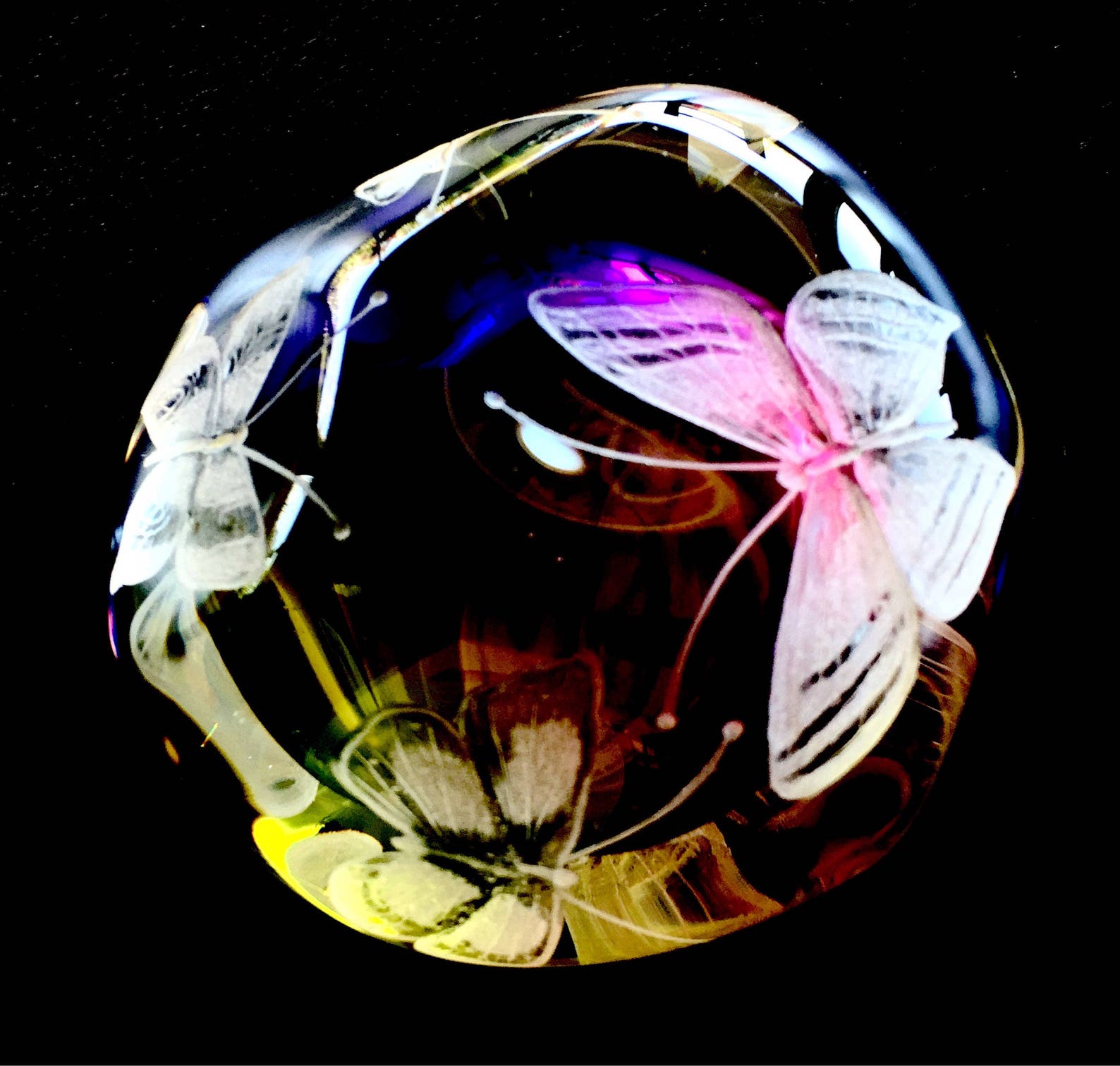 Hand Engraved Butterfly Paperweight Butterflies, Large Butterfly Paperweight Customized