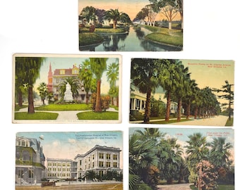 Lot of 5 1915-16 NEW ORLEANS LA Lithograph Postcards, Cemetery Hospital Palms+