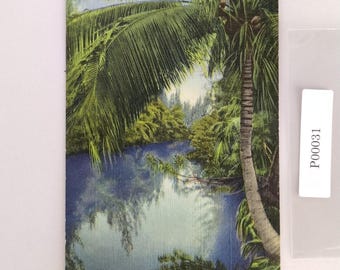 Vintage 1946 Linen Postcard Tropical Canal Fort Lauderdale Florida Palm Tree