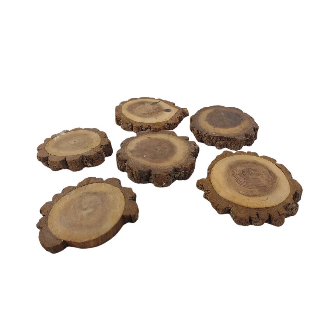 Vintage Set of 6 Rustic Wood Bark Coasters, Hardwood Wooden Primitive ...