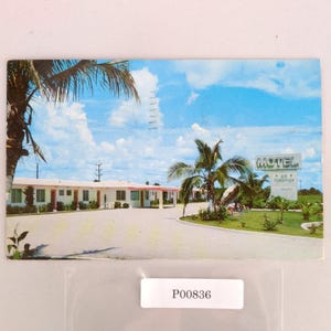 May include: Vintage postcard featuring a motel with a sign that reads "MOTEL". The image shows a white building with red accents, palm trees, and a blue sky with clouds. The postcard has the number "P00836" on it.
