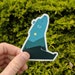 The Original Northern Bear Vinyl Sticker