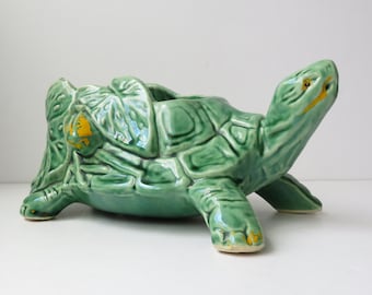 McCoy turtle