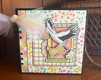 Special Delivery (Baby Pooh)- Completed mini scrapbook album
