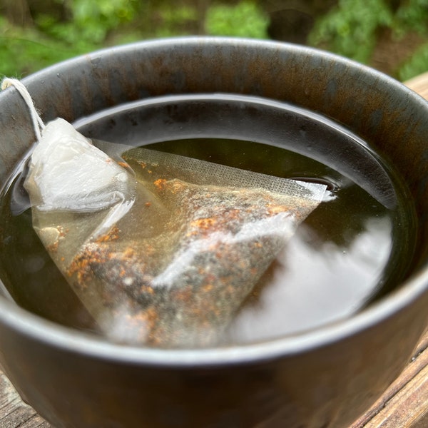 White Mountain Chaga Tea Bags. Foraged, Processed and Packaged by hand in New Hampshire. 8 Tea Bags