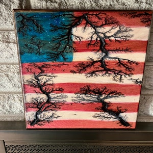 Fractal Wood Art (struck by lightning effect)