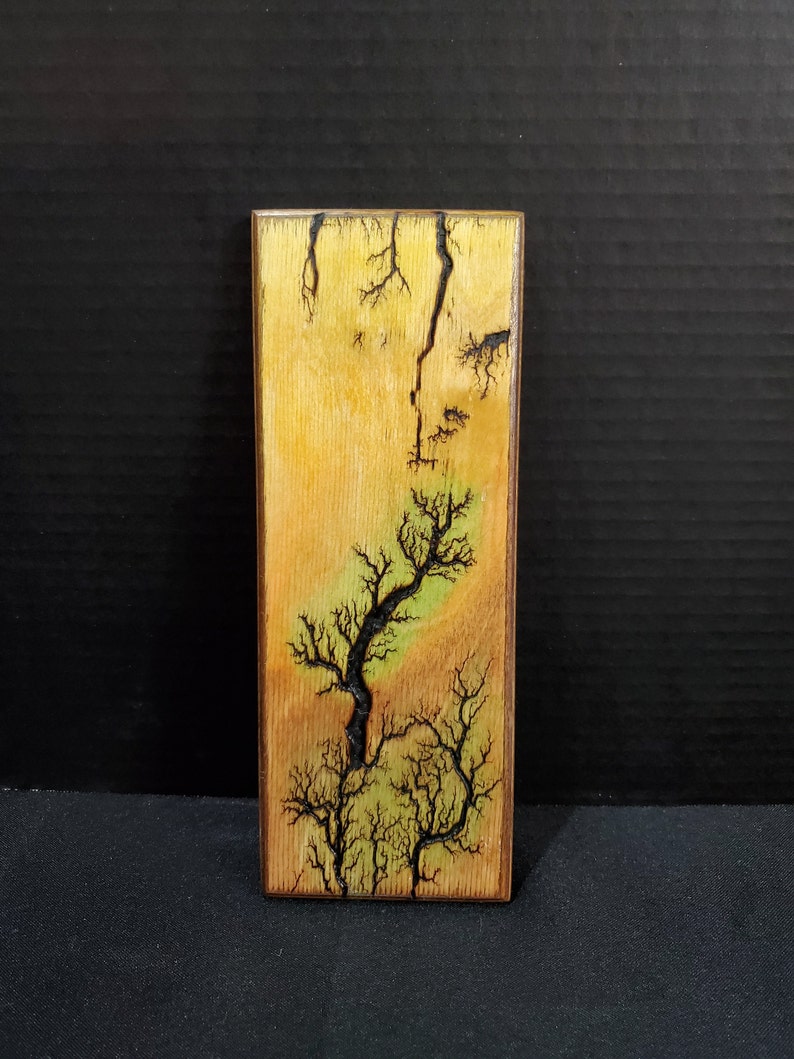 Fractal Wood Art struckbylightning effect Etsy