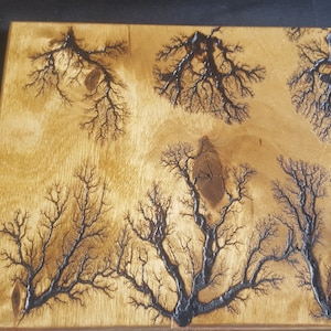 8x10 Fractal Wood Art   (struck-by-lightning effect)